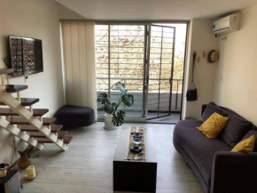 *Palermo Hollywood* Amplio Duplex / Moderno